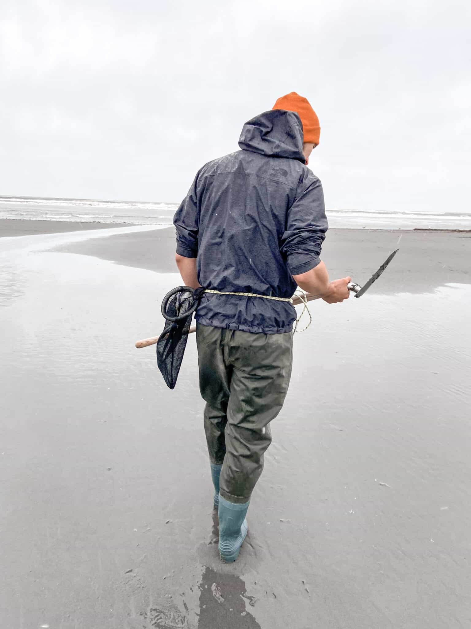 How to Dig Clams Ultimate Beginner's Guide The Perfect Tide