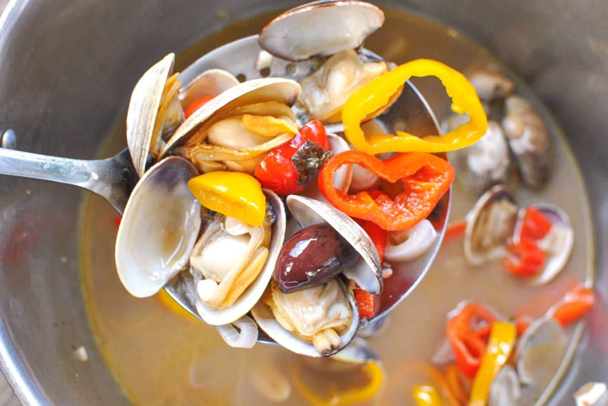 Spoon of mediterranean clam bake recipe with steamer clams, white wine, vinegar, peppers, shallots and olives