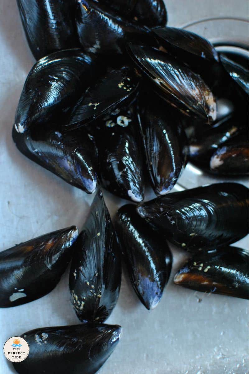 Fresh Mussels cleaned