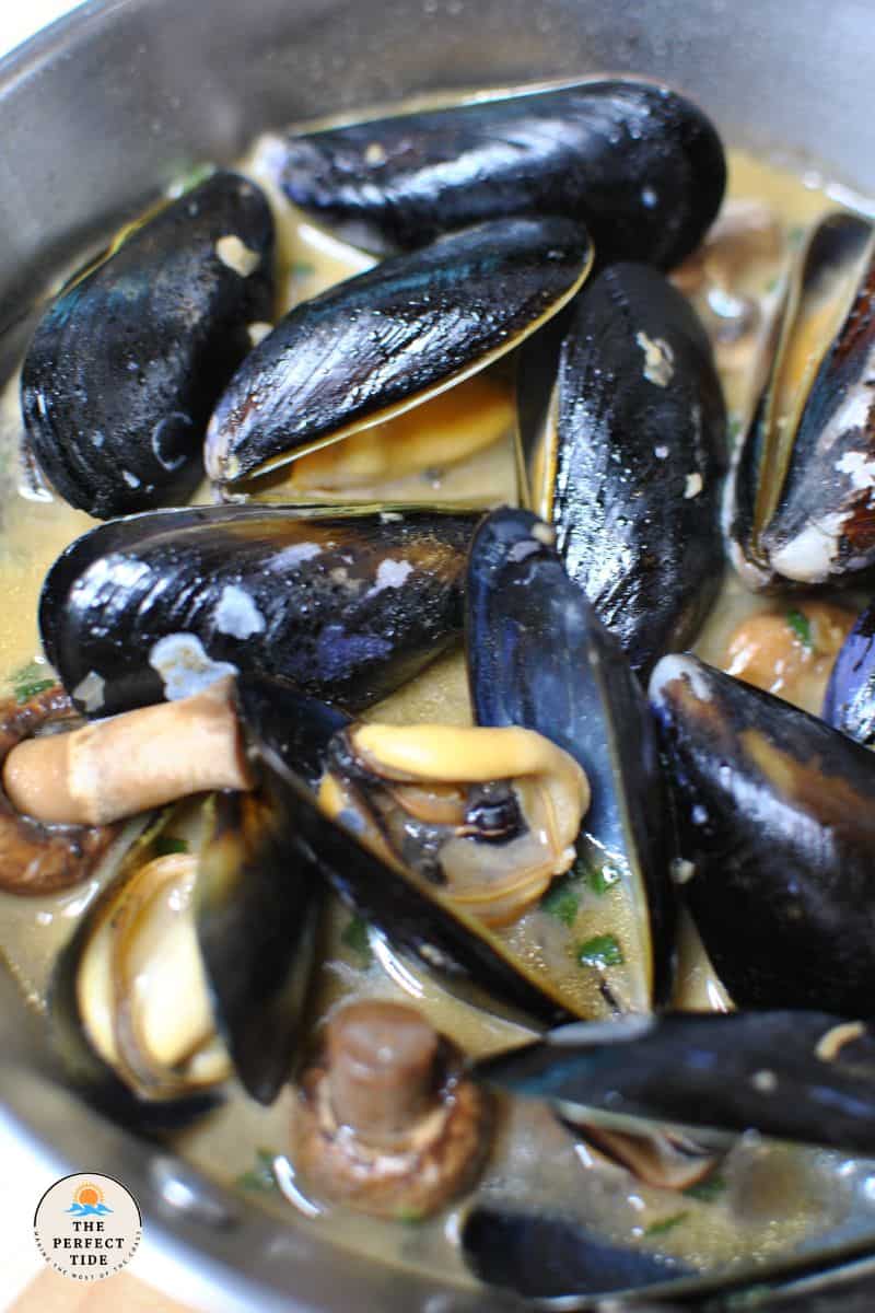 steamed mussels with beer and mushrooms, garlic and sage