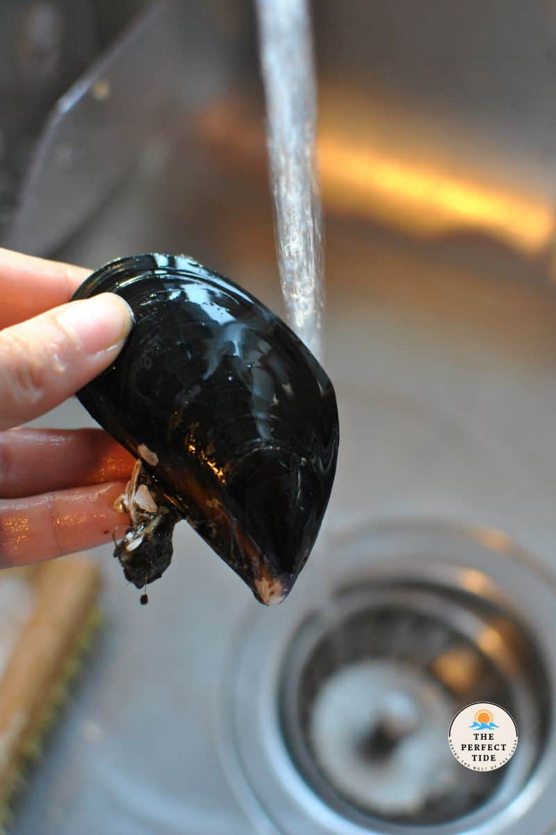 cleaning mussels before cooking them under running water and debearding