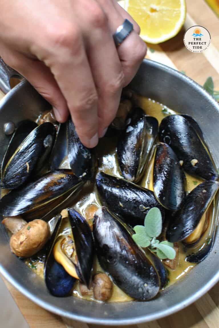Stout Steamed Mussels The Perfect Tide