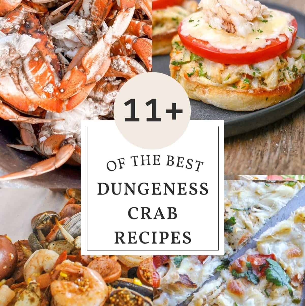 The BEST Dungeness Crab Recipes The Perfect Tide