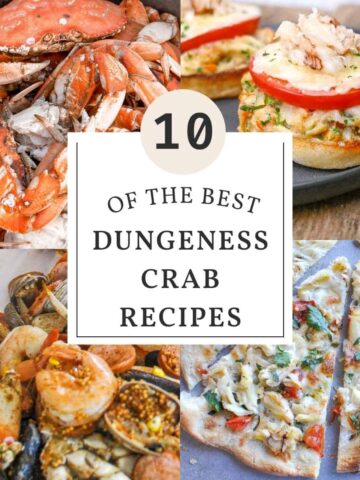 10 of the best dungeness crab recipes