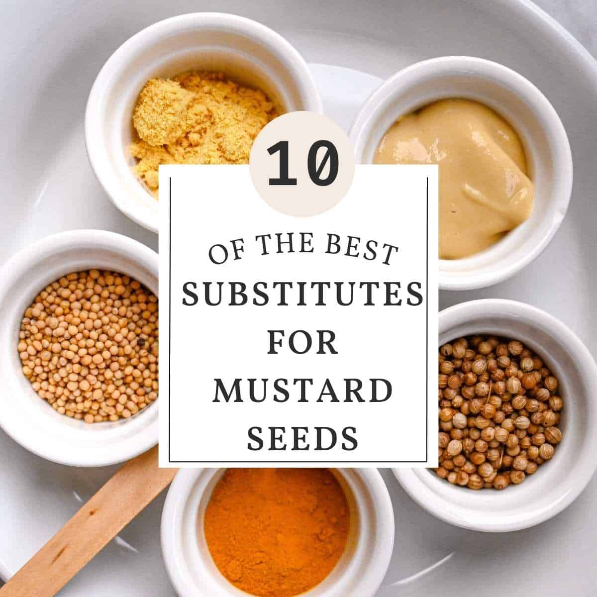 10 of the best substitutes for mustard seeds with image of substitutes