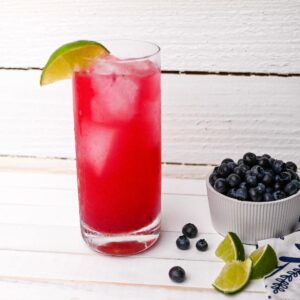 blueberry gin and tonic cocktail with a bowl of fresh blueberries and lime wedges