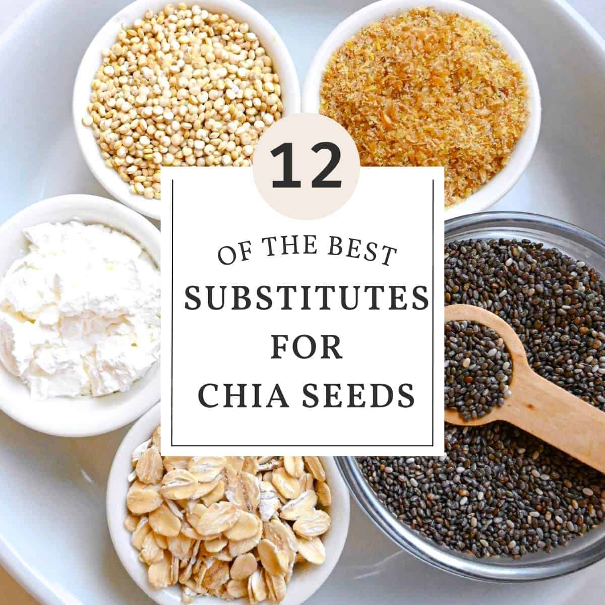 12 of the best substitutes for chia seeds, picture of chia seeds oats, corn starch, seeds and flaxseeds