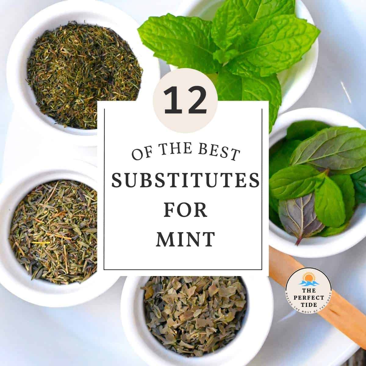 substitutes for mint