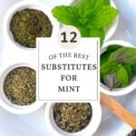 substitutes for mint