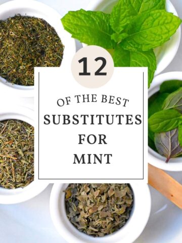 substitutes for mint