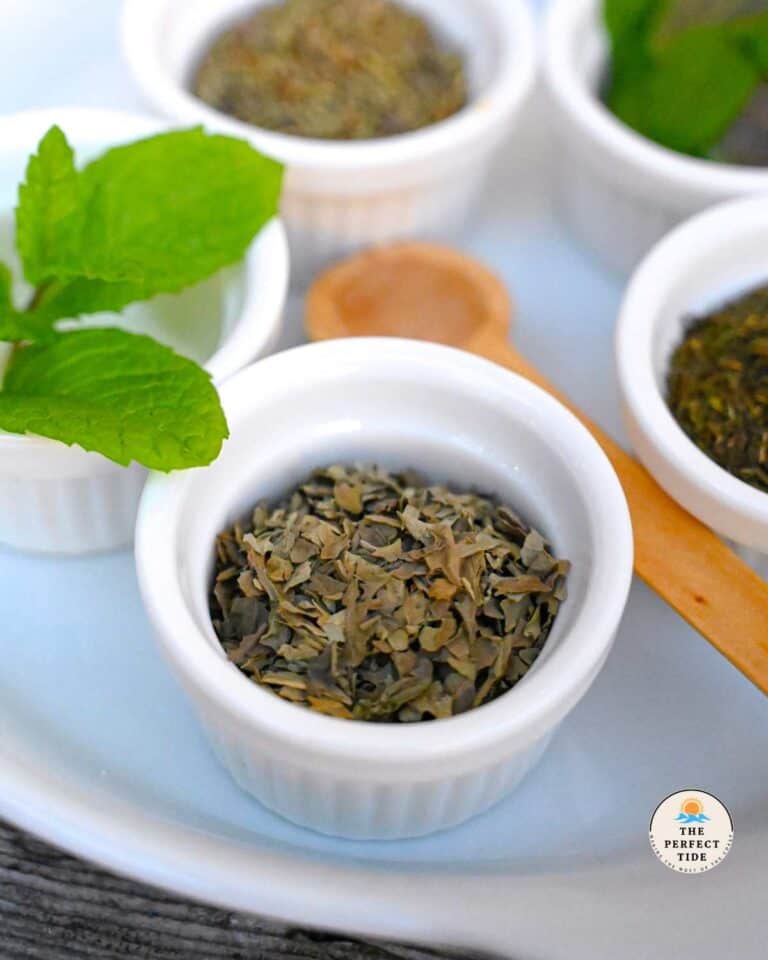 12 Best Substitutes For Mint