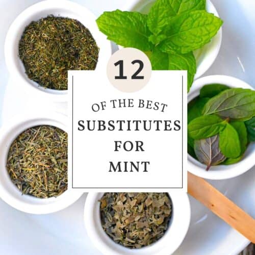 12 Best Substitutes For Mint