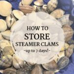 how to store steamer clams for up to 7 days