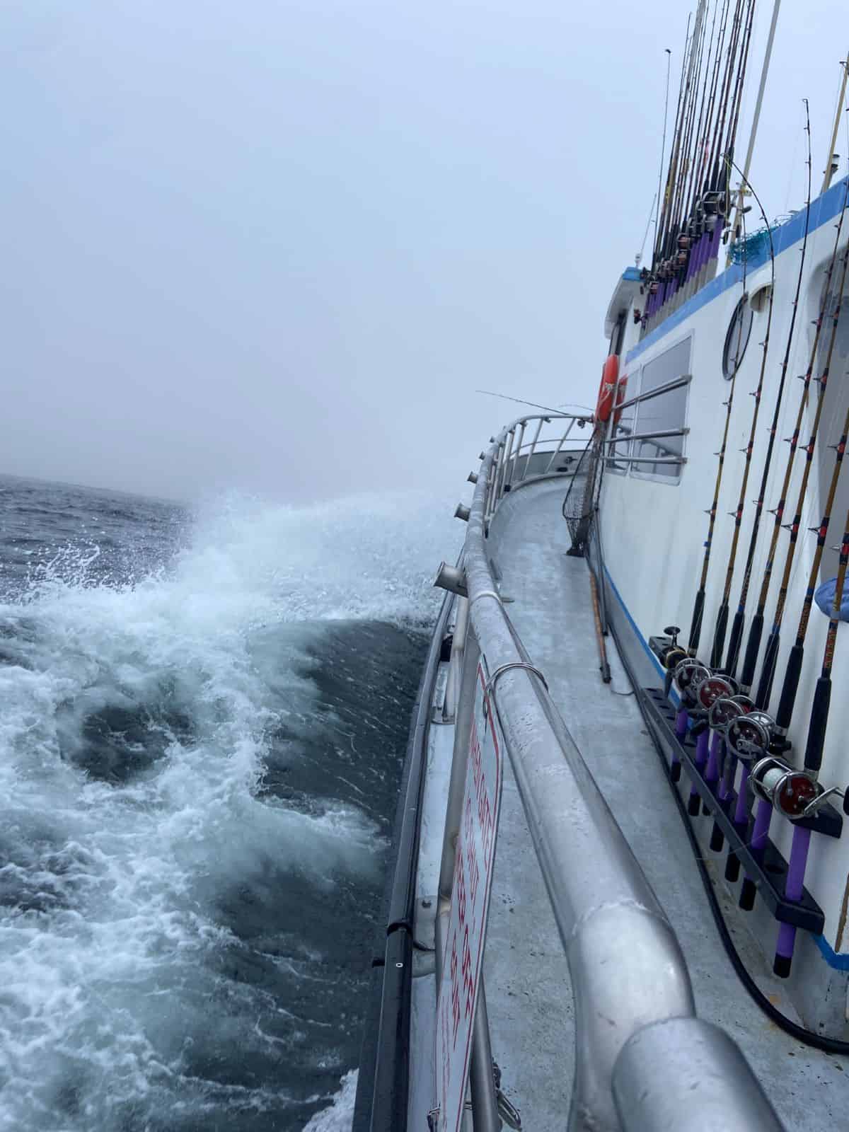 FISHING CHARTER IN WATER